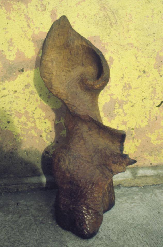Image 23